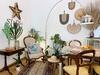 Apartamento Caravanilia Studio