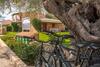 Holiday Home In San Teodoro 26875