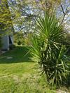 Bed & Breakfast Il Moro Bianco