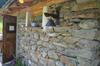 Agroturismo Countryrooms Valchiusella
