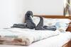Apartamento Pension-cafe-konditorei Mikl