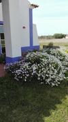 Hostal Monte Sol'ar Do Farol By Stay In Alentejo
