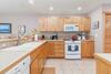 Curious Sea Cow - New Rental!!