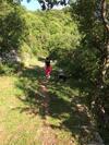 Casa Matea With Pool, Jacuzzi & Souna In A Green Oasis, Kvarner