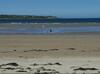 Ross Beach Family Farmhouse B&B