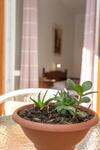 Apartamento Historic Center Hvar Town- A Few Steps From The Main Square