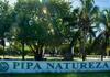 Condom�nio Pipa Natureza - Casa Artes 3 Quartos