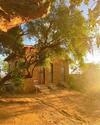 A Casa Concha Glamping Praia De Gravat�
