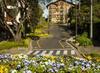 Grey House, Pr�ximo A Gramado E Ao Templo Budista