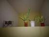 Apartamento Departamentos Salinas Family