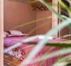 Riad Inna Guest House