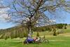 Holiday Home Dav?a