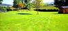 Pen-rhos Luxury Glamping "the Hare Hut"