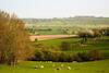 Agroturismo Extraordinary Huts