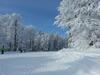 Hostal B�hmerwald Pur2