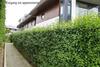 Apartamento Prinses Elisabeth