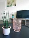 Apartamento Ferienwohnung City Connection