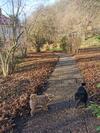 Hostal Berghaus Figueiras Zum Teufelsberg 7