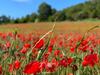 Bed & Breakfast La Vieille Auberge