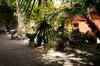 Hotel S�hostal D�esporles