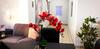 Apartamento Habitaci�n Para Mujer Shalom