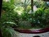 Hotel El Peque�o Gecko Verde