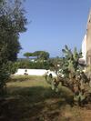 Casa Ippo Stromboli Piscit�