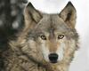 Club De Chasse Et P�che Tadoussac