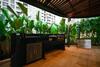 Saigon City View Apartment & Pool, Ho Chi Minh City