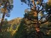 Haven Idyllwild