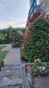 Fant�stica Vivienda Con Amplio Jard�n Y Piscina