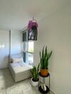 Villa Jungla Del Mar - Oceanfront City Apartment