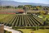 Hotel Uva Nestum Wine & Spa