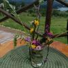 Uzivancija Na Tari