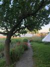 Home On Iznik Lake With Its Own Private Beach