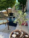 Apartamento Mare Amor Rab