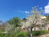 Agroturismo Podere Santa Luisa
