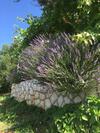 Hostal Apartments And Rooms Krstina
