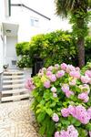 Apartment Jasna