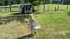 Bed & Breakfast Sans Parure : Chambre D'h�te