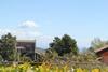 Sicily Sun
