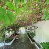 Hotel Garden Villa Naza