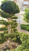 Apartamento Best Home 20, Beach Kleopatra, Alanya