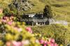 Alpenblick Bergrestaurant & Hotel