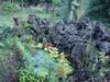 Private Bali Home Near Beach/125mbps Free Internet