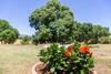 Apartamento Rosa Rossa Nel Cuore Della Toscana