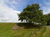 Holiday Home Neufmoulin Bastogne Neufmoulin