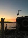 Hostal Logis De M�lisandre