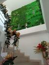 Hotel Dorado Villa Real Hdvr