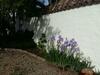 Villa Beautiful Cortijo With Pool Near Ronda